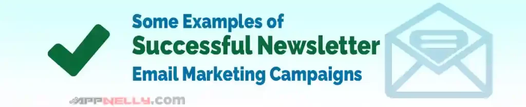 Examples of Successful Newsletter Email Marketing Campaigns - appnelly